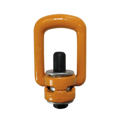 G80 SWIVEL LIFTING POINT M10 (CSP254M10)