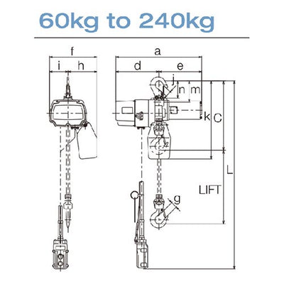 EDCL Series Single Phase Electric Chain Hoist (240V, Pendant Control)